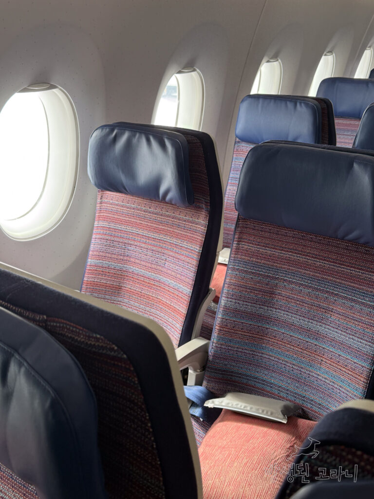 대한항공 시트 커버가 적용된 아시아나 좌석