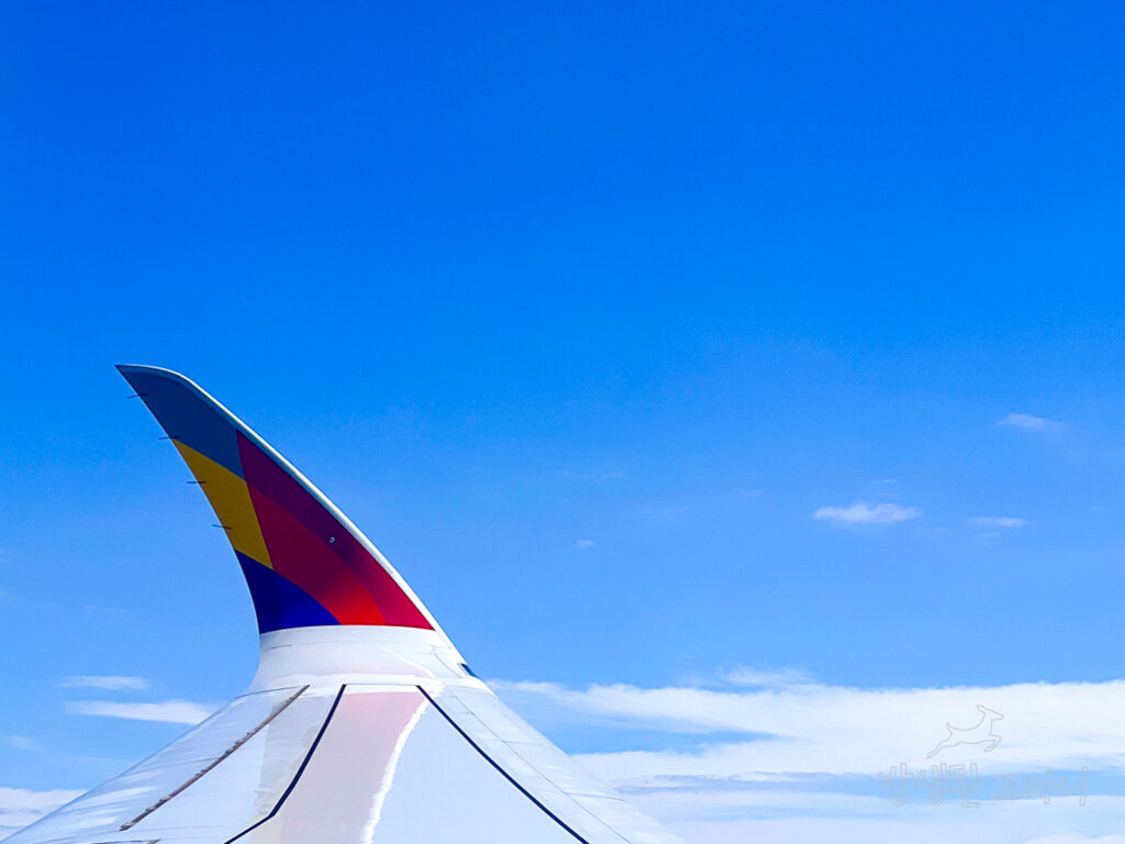 인천 뉴욕 비행 중 항공기 날개 뷰