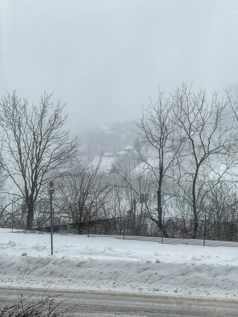 조식당에서 본 창밖 나이아가라 폭포 풍경