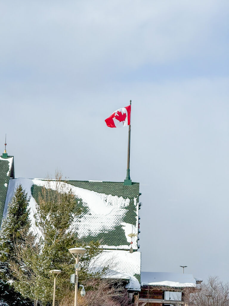 건물 위 캐나다 국기