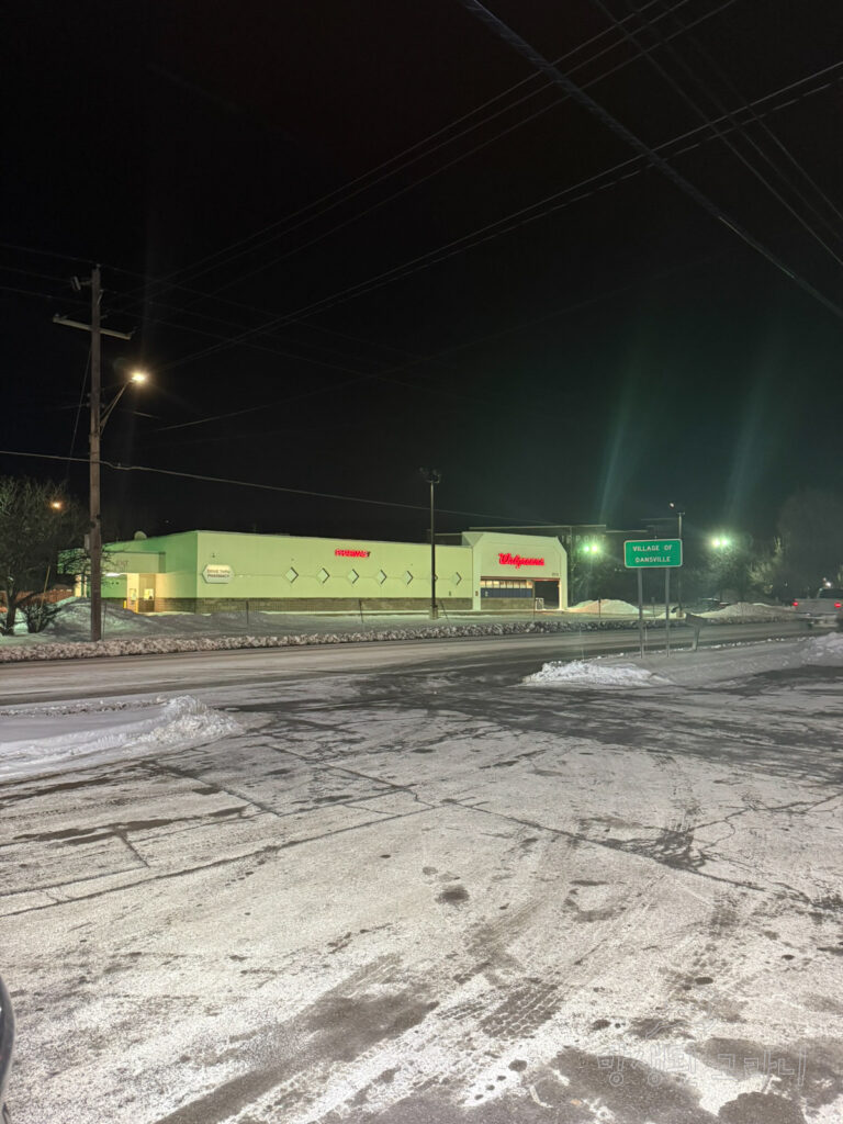 Dansville 7-Eleven 주유소