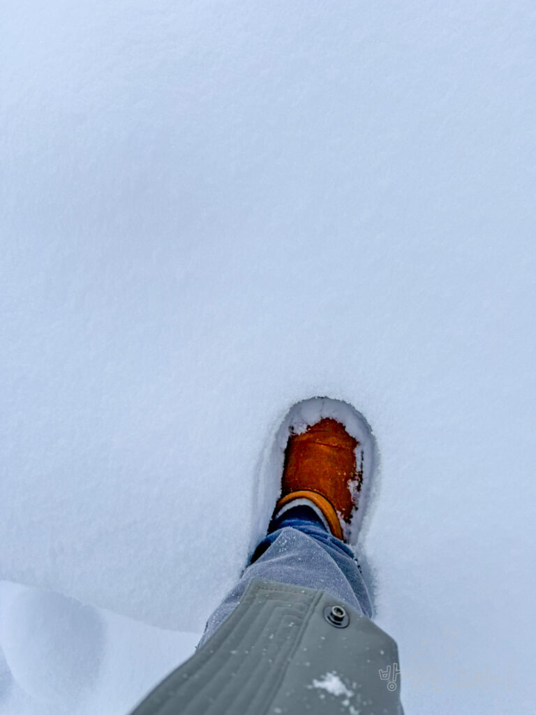 나이아가라 폭포 여행 중 쌓인 눈 깊이 확인 해보기