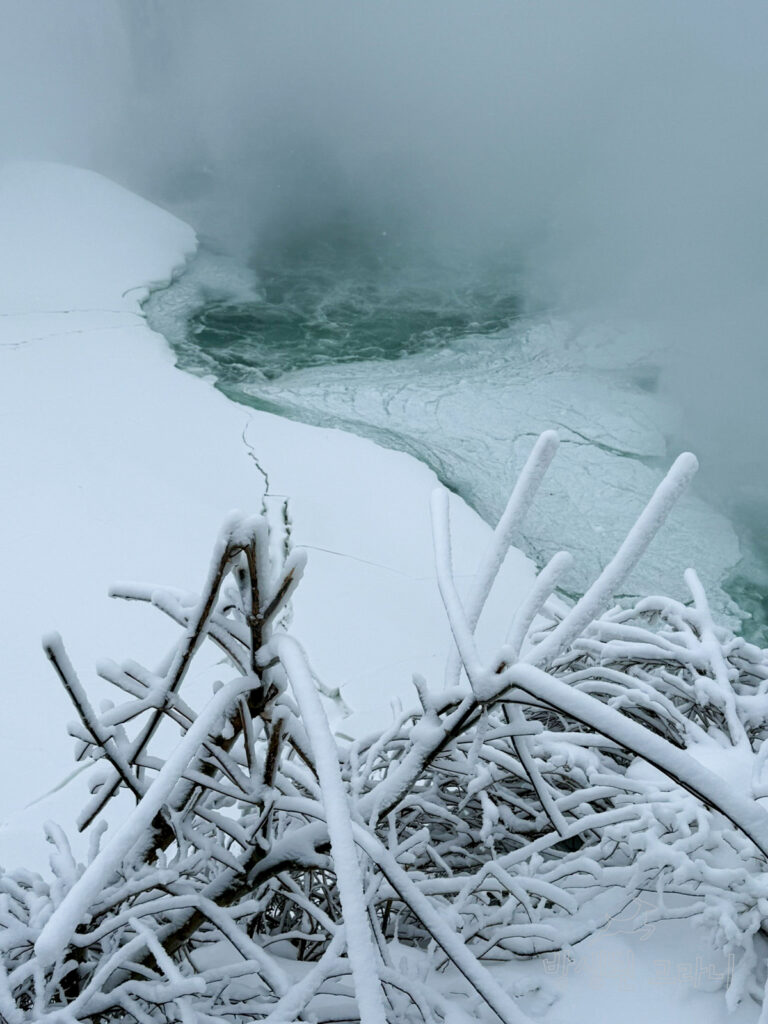 폭포 아래 눈 덮인 나뭇가지 풍경