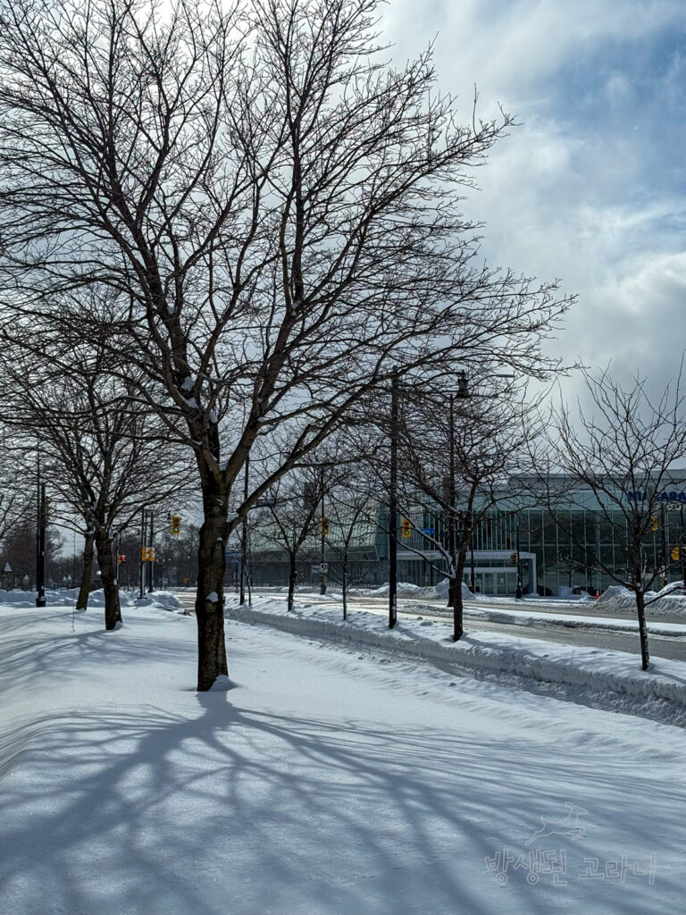 호텔 외부 주차장 옆 눈 쌓인 거리 풍경