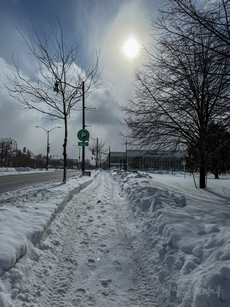 호텔 주차장  눈 덮인 인도