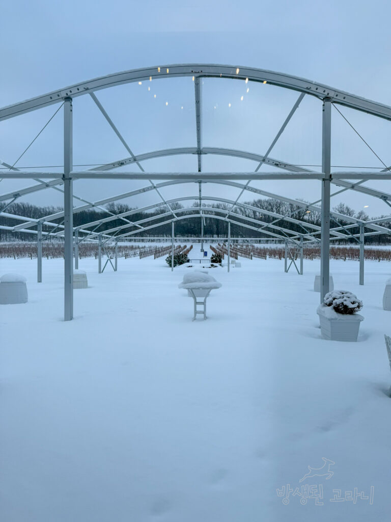 창 밖으로 보이는 겨울 포도밭 전경