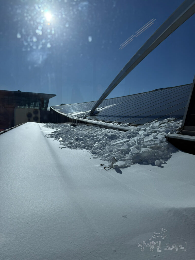 JFK 공항 눈 덮인 천장 풍경