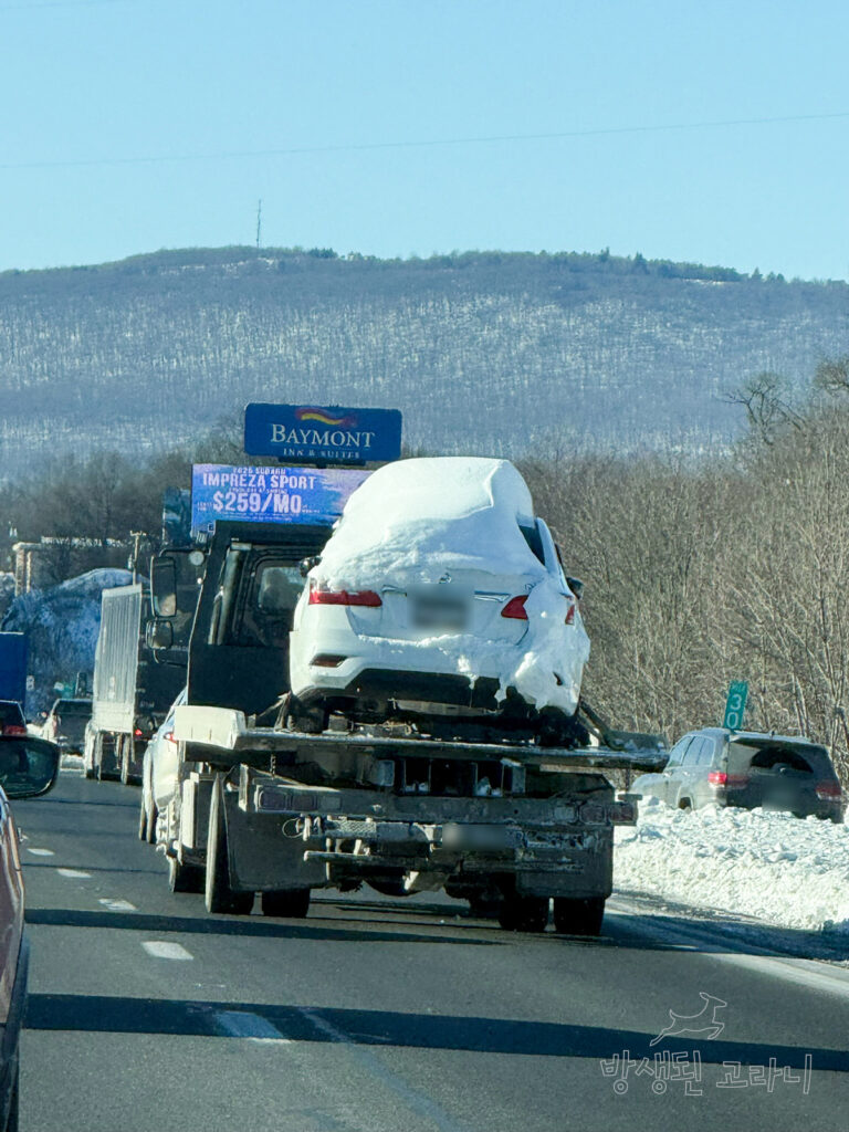 눈이 쌓인 차량을 실은 트럭