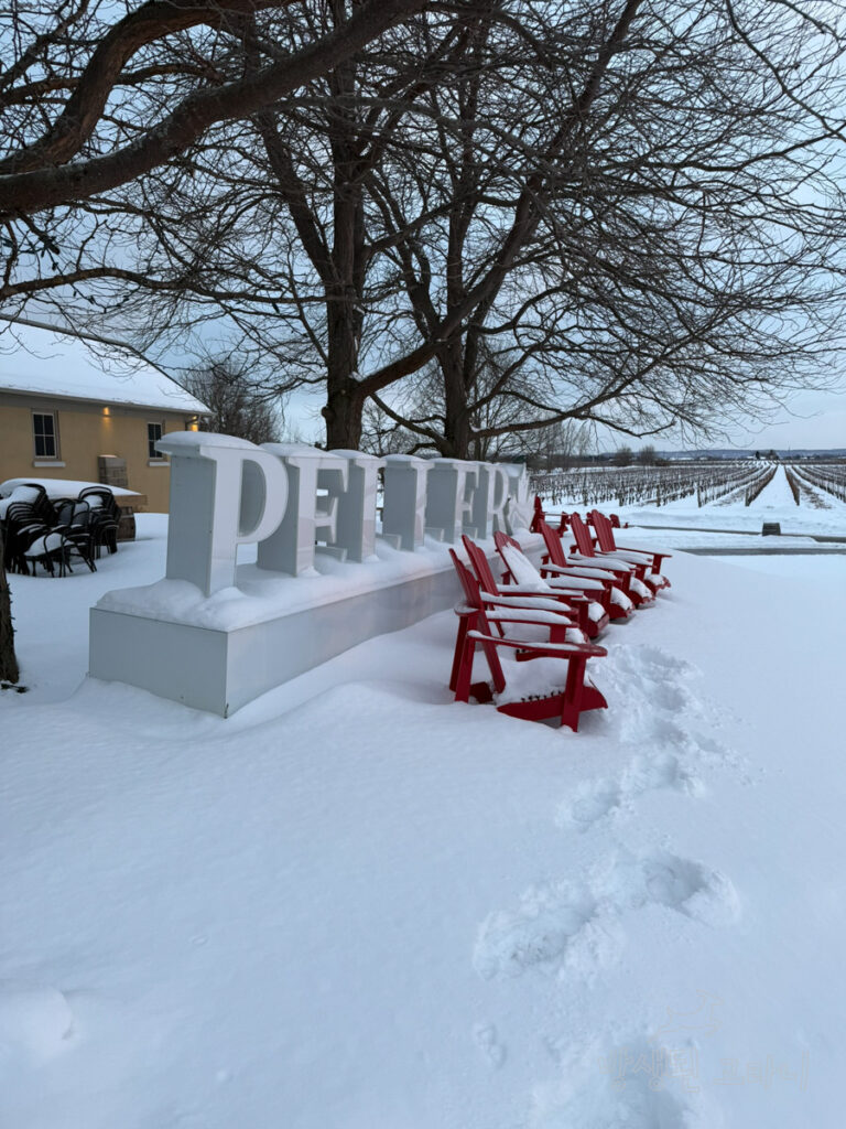 실외에 설치된 Peller 간판과 눈 위에 놓인 빨간색 플라스틱 의자들