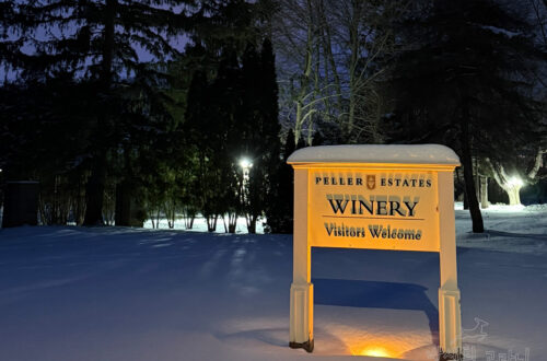 Peller Estate Winery Visitors Welcome