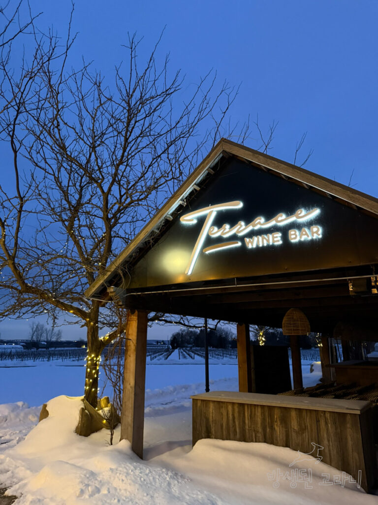 와이너리의 야외 테라스 와인바 전경