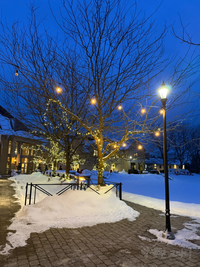 Peller Estates 와이너리 건물 뒷편 외관 풍경