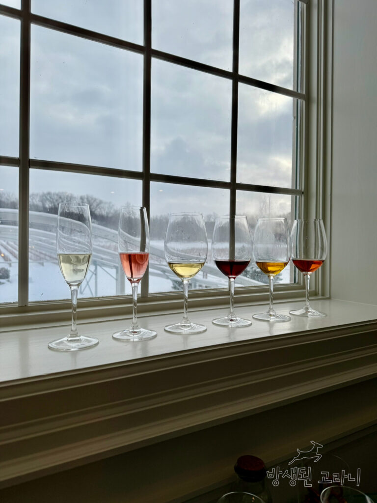 테이스팅 와인 6잔과 창 밖의 포도밭