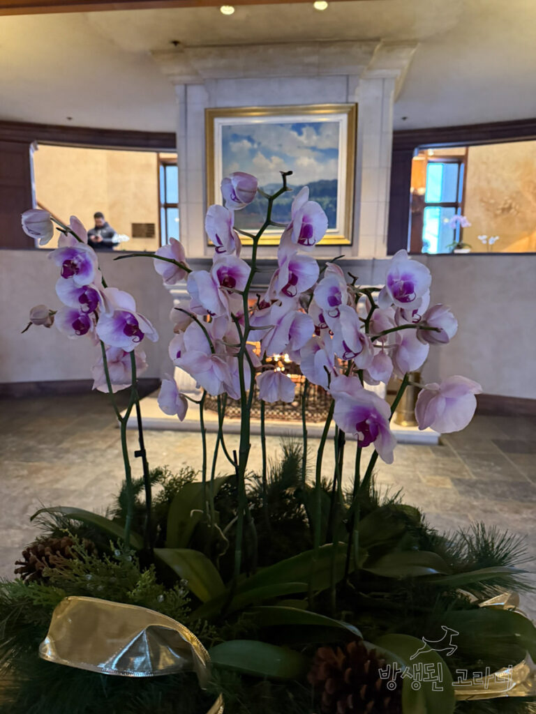 와이너리 로비를 장식하고 있는 꽃 인테리어