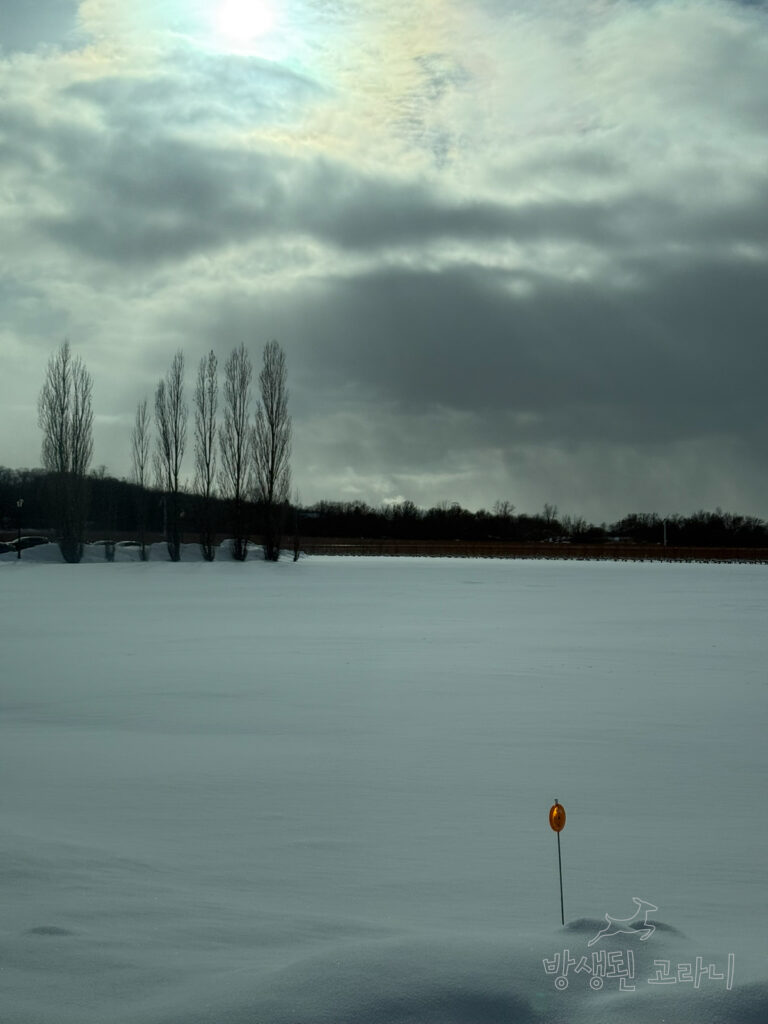 눈이 쌓인 와이너리 주변 겨울 풍경 