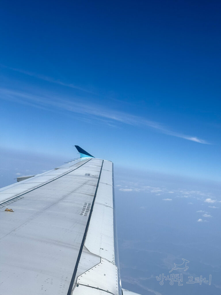 비행 중 에어부산 항공기 윙렛