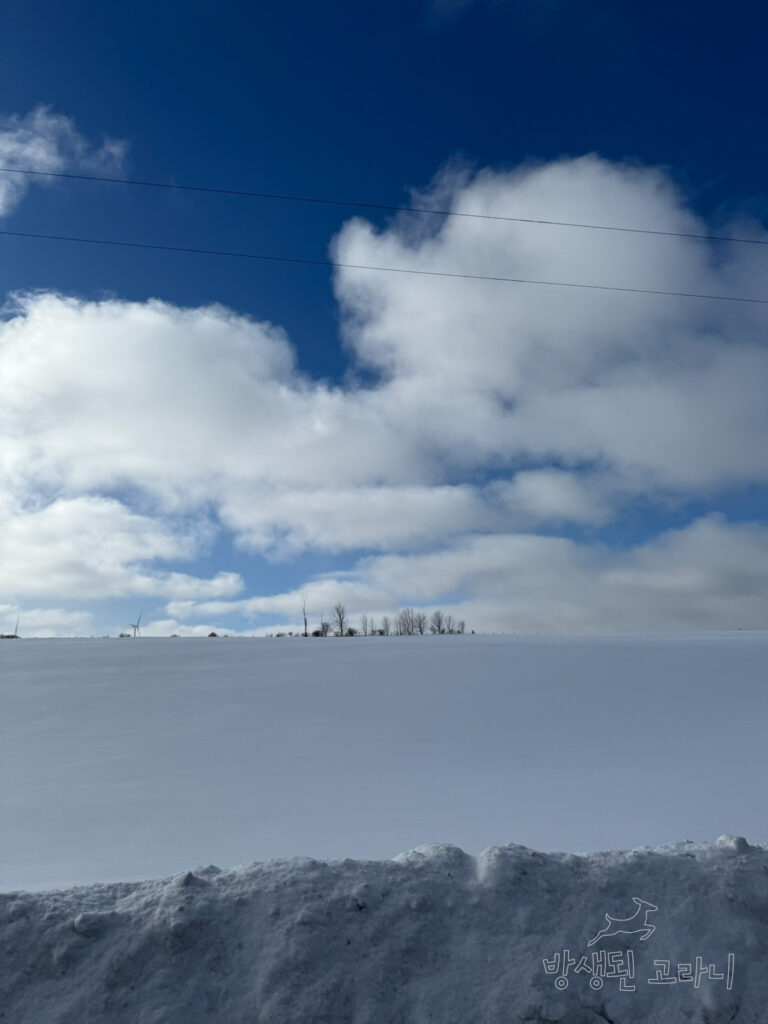 생크림처럼 깨끗한 설원과 구름이 떠 있는 파란 하늘