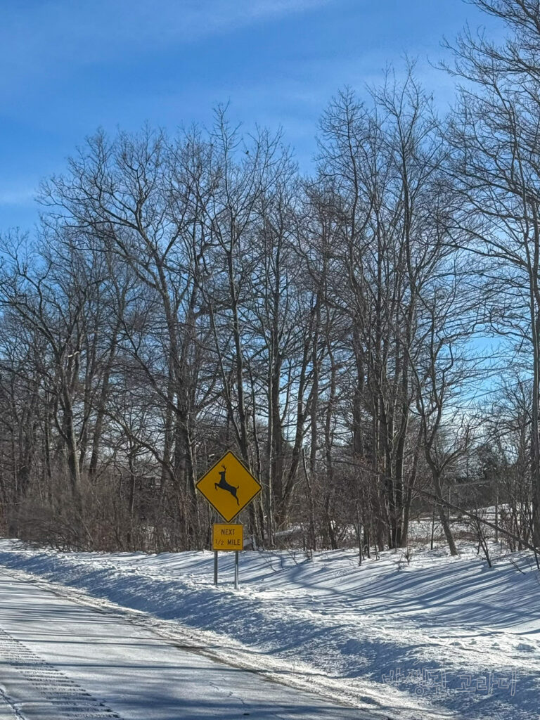 야생 사슴 출몰 구역을 알리는 미국 도로 표지판
