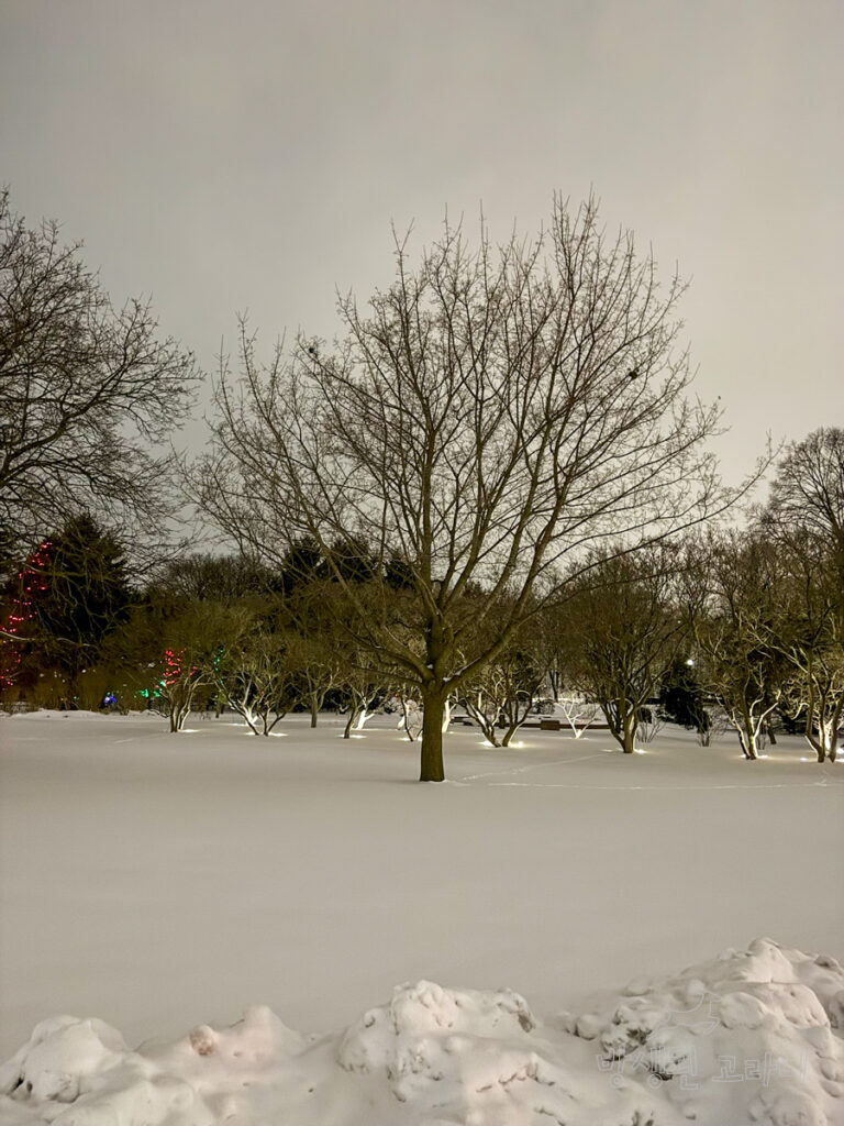 눈으로 가득 덮인 나이아가라 파크 그린하우스 주변 전경