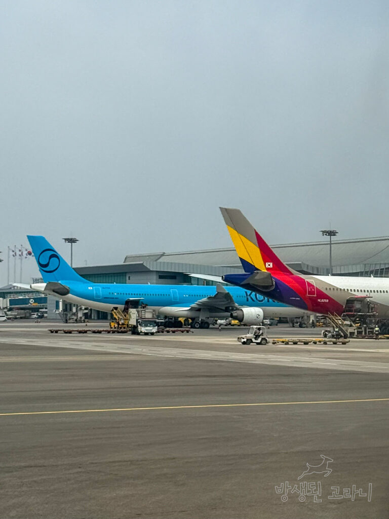 나란히 주기된 대한항공 신도장 항공기와 아시아나항공 항공기