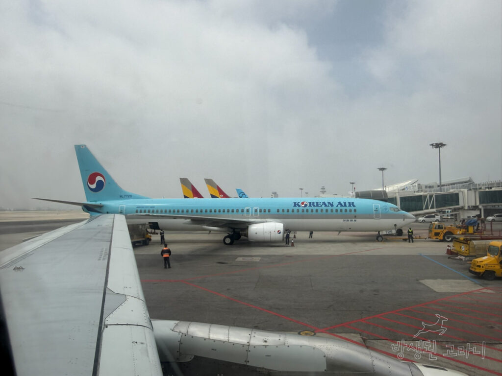 대한항공 구도장과 신도장, 아시아나항공 색동 꼬리가 나란히 보이는 모습