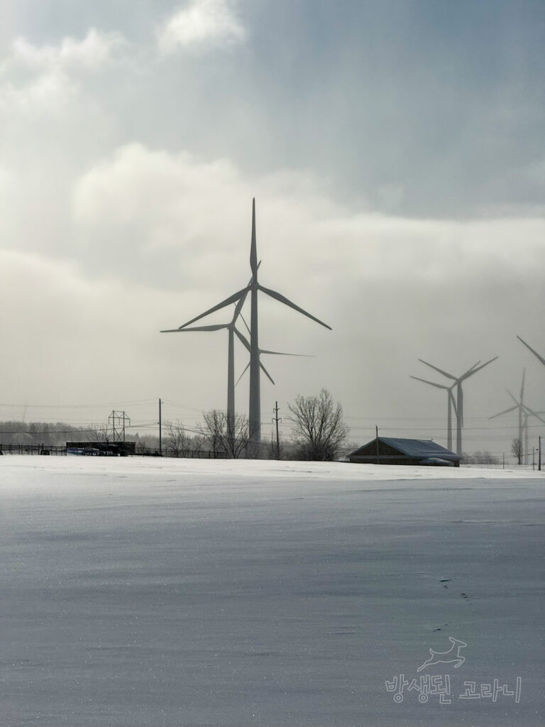 하얀 설원 위로 여러 대의 풍력발전기가 늘어선 뉴욕 겨울 풍경