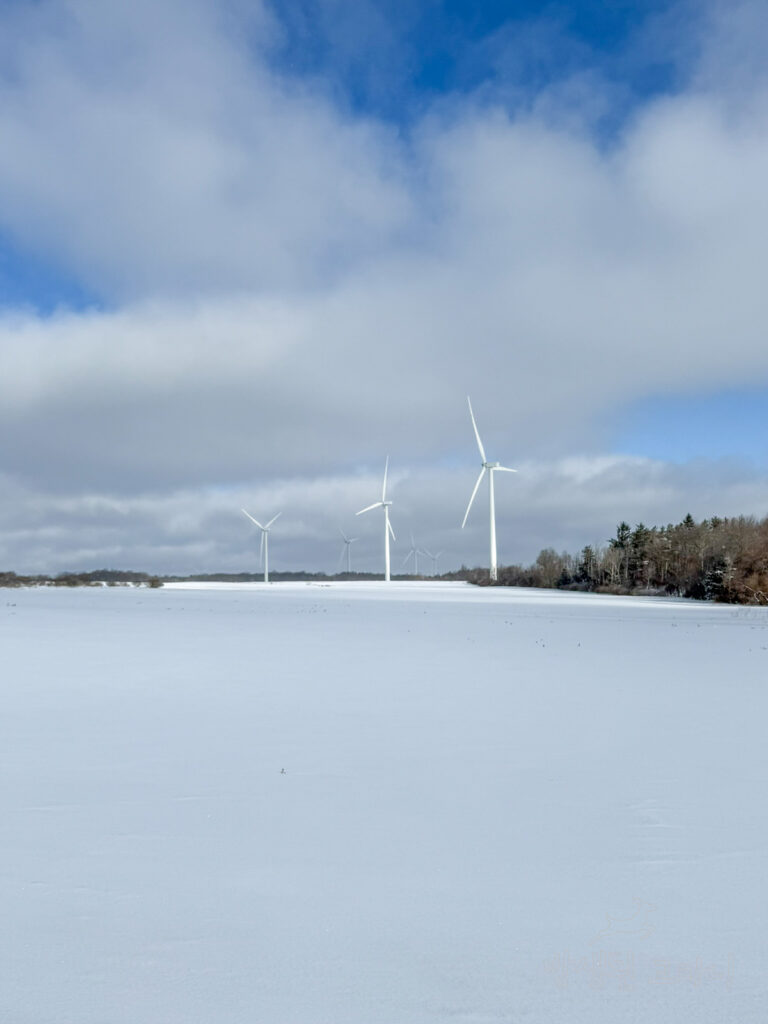 설원과 풍력발전기, 하늘과 구름이 모두 담긴 엽서 같은 뉴욕 겨울 풍경