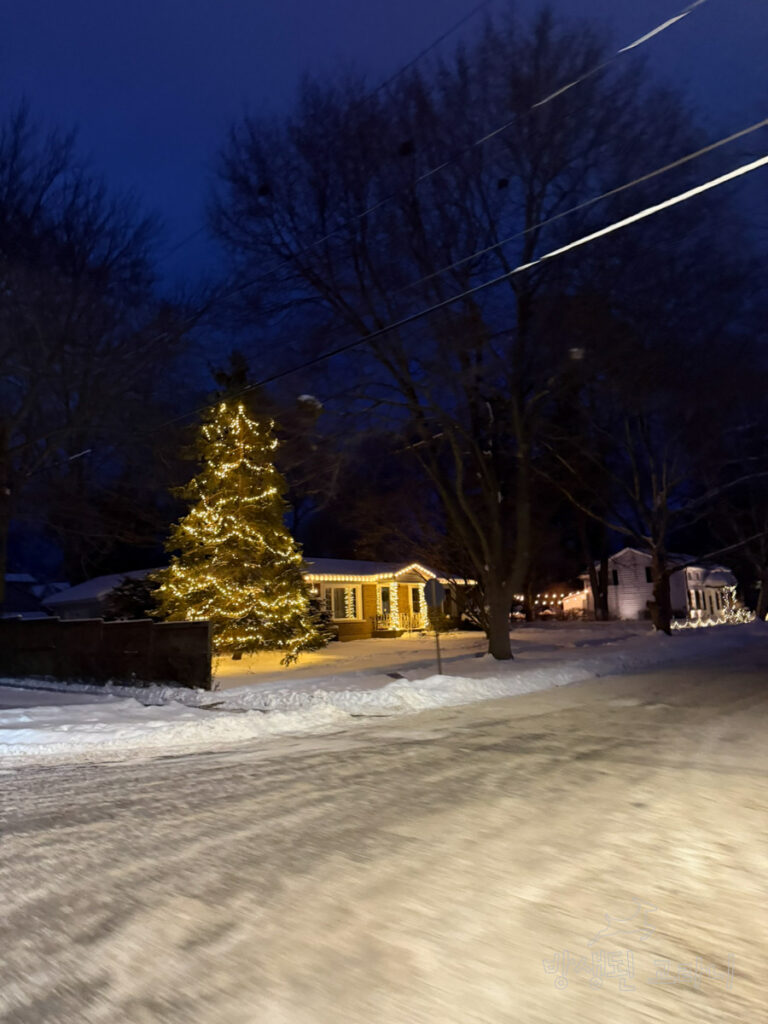 나이아가라온더레이크 마을 주택의 크리스마스 트리