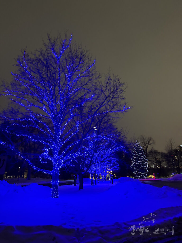 나이아가라 파크 그린하우스의 파란 조명으로 장식된 나무