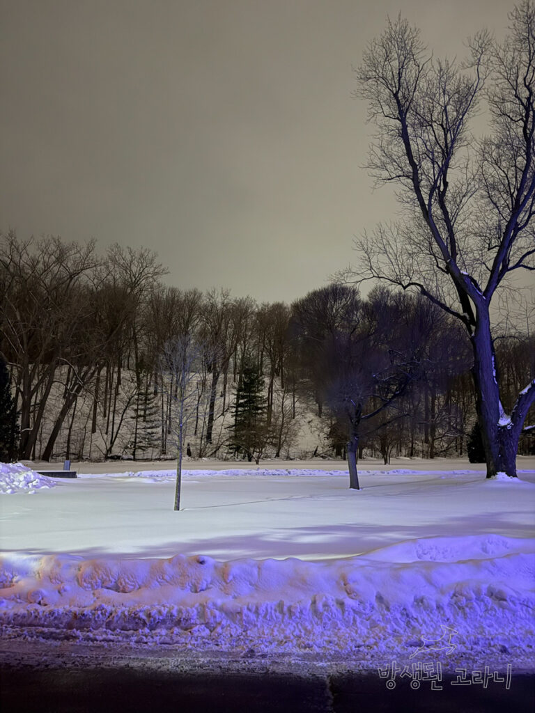 나이아가라 파크 그린하우스 주차장 전경