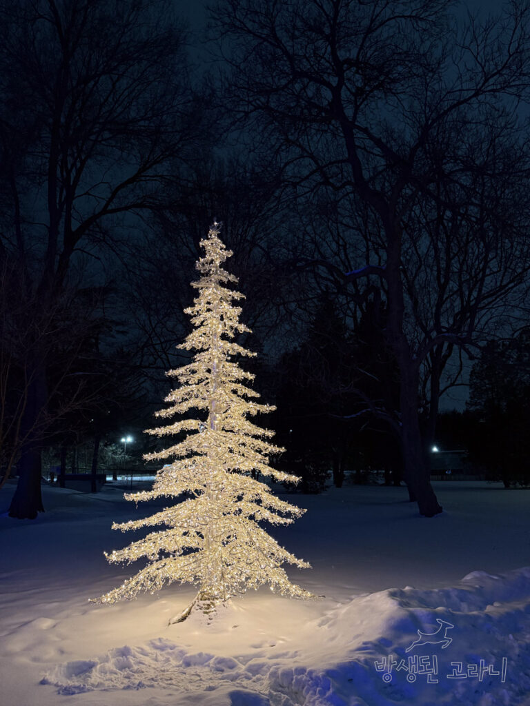 하얀 눈밭 위에 조명으로 빛나는 크리스마스 느낌의 나무