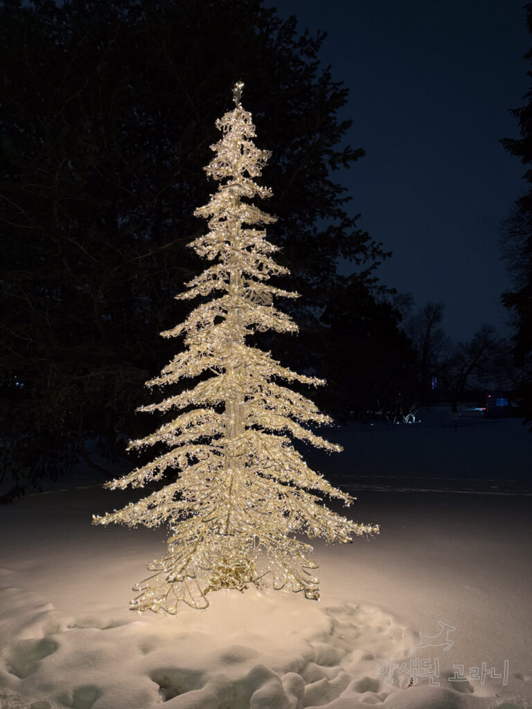 눈밭 위 크리스마스 조명 나무의 또 다른 모습
