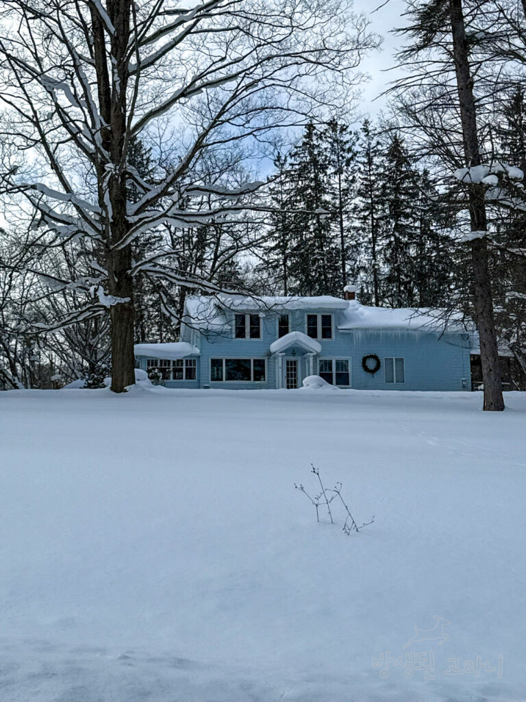 설원을 배경으로 나무 사이에 자리한 하늘색 집