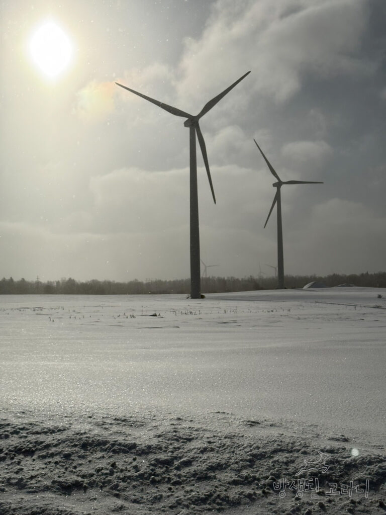 반짝이는 설원과 태양, 풍력발전기가 어우러진 뉴욕 겨울 풍경