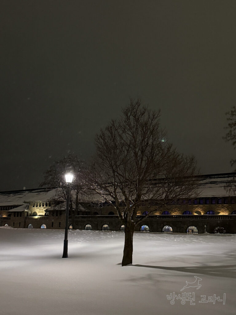 가로등 옆 나무와 뒤로 보이는 나이아가라 파크스 파워 스테이션 건물